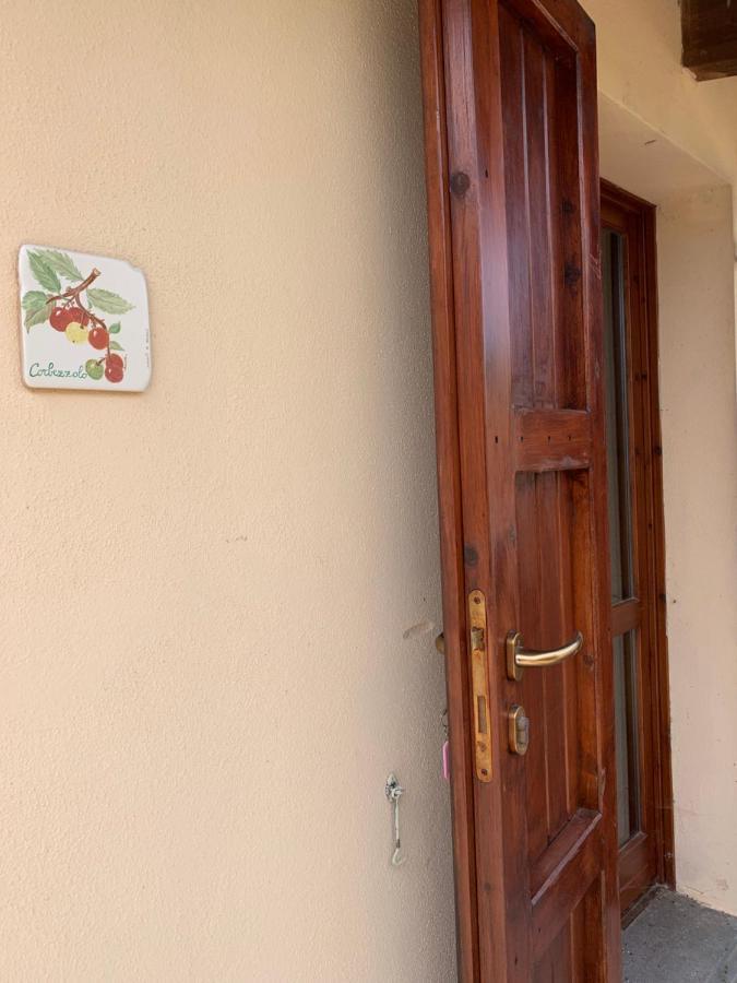 Agriturismo Terra Noas Villaurbana Экстерьер фото